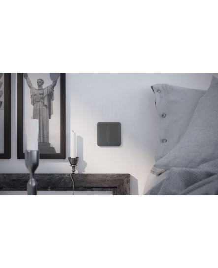 LightSwitch (1-gang) Jeweller - Розумний Одноклавішний